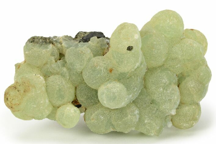 Botryoidal Prehnite and Epidote - Mali #220454